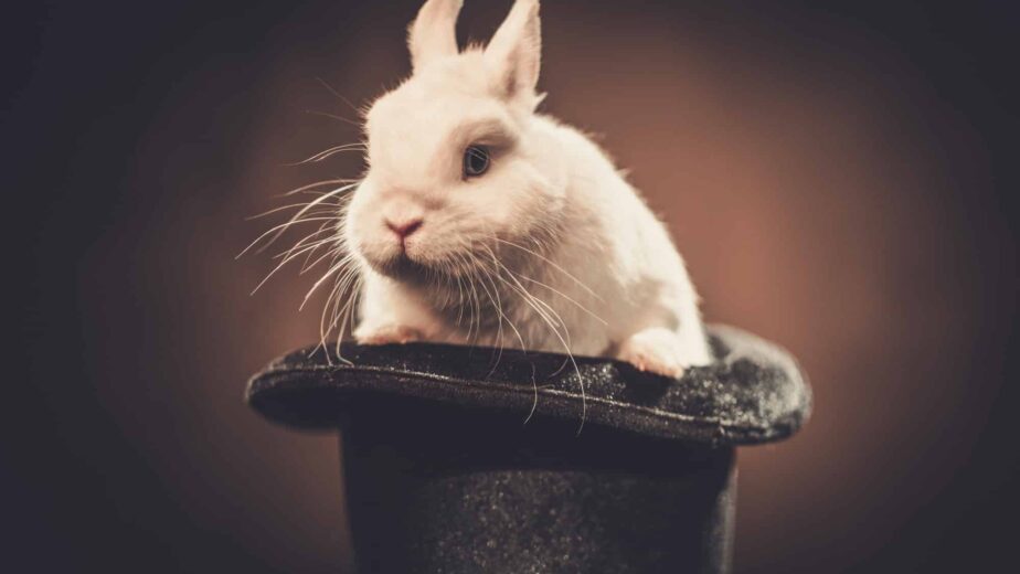 What Can We Learn From Famous Escape Artists?